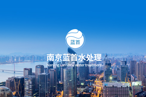 大竹建站-南京蓝首水处理设备有限公司